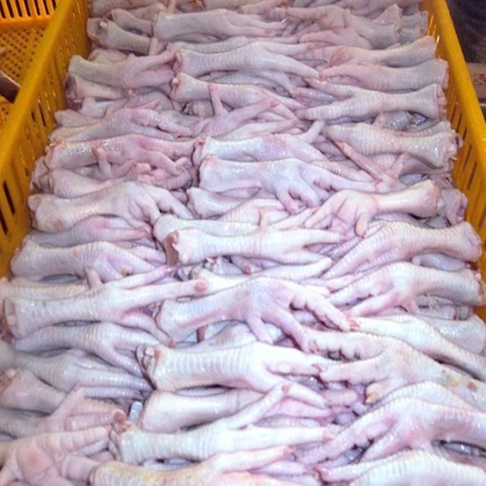 Halal Chicken Paws With Free International Shipping Top Grade Bulk Frozen Chicken Feet / Chicken