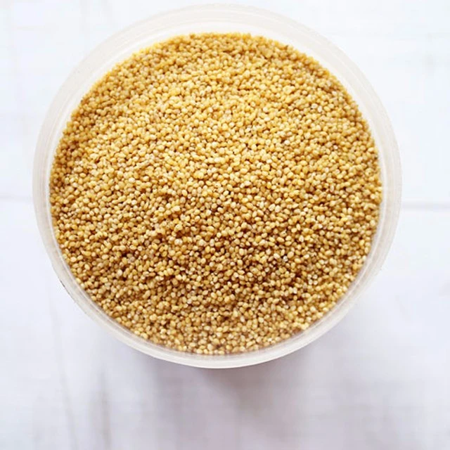 Best Quality Indian Yellow Millet For Sale Foxtail Millet Supplier From Indian Yellow Millet For