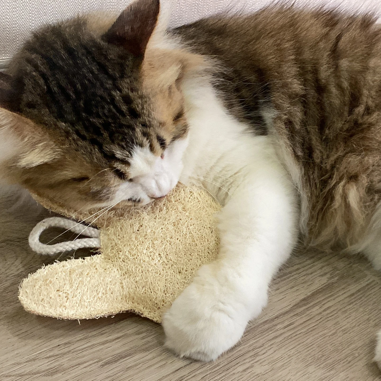 100 Natural Loofah Pet Toys,Bone,Mouse,Fish,Duck,Shaped,Good For Teeth