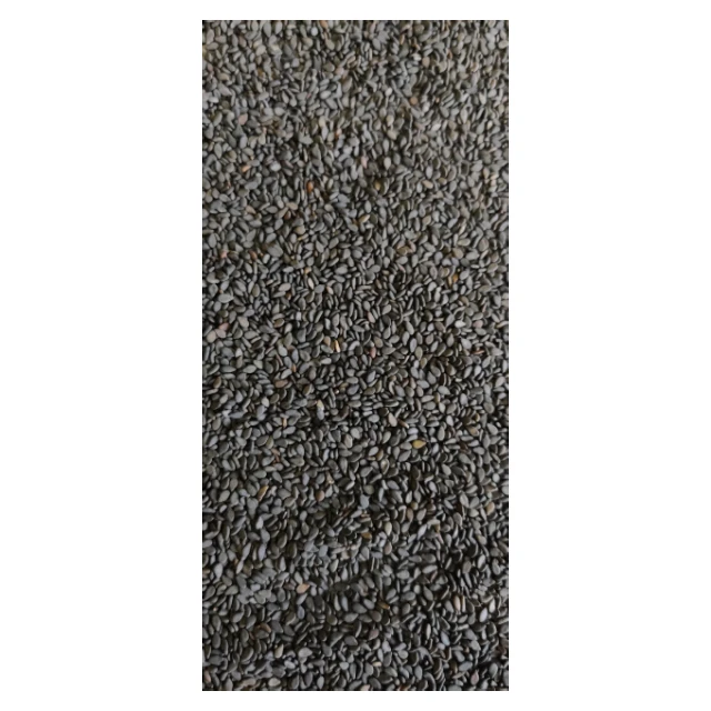 Standard Quality Black Sesame Seeds From India Premium Quality Black Sesame Seeds For Industrial