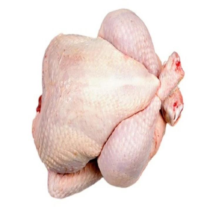 Brazil Halal Frozen Whole Chicken,frozen Chicken Paws Frozen Processed 