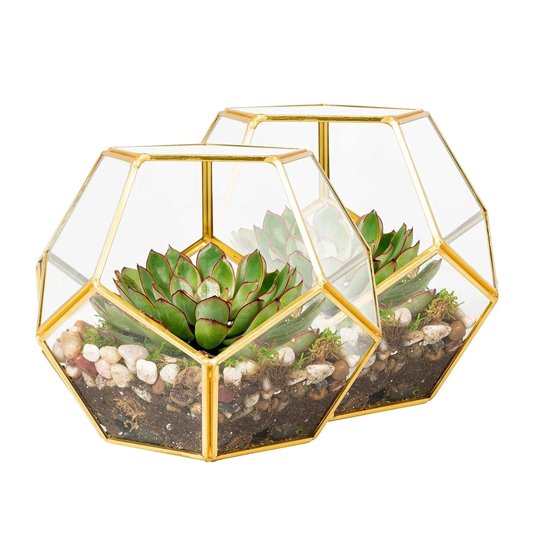 Indoor Decoration Multi Functional Usage Glass Terrarium Custom Shape