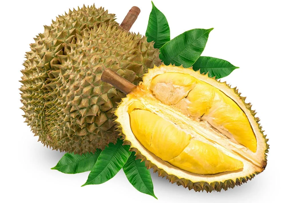 Frozen Durian Fresh Durian From Vietnam Premium Quality And Best Price Supplier (ms. Van +84 814