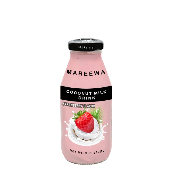 Coconut Milk Drink Chocolate Flavor Glass Bottle 280ml Oem Natural