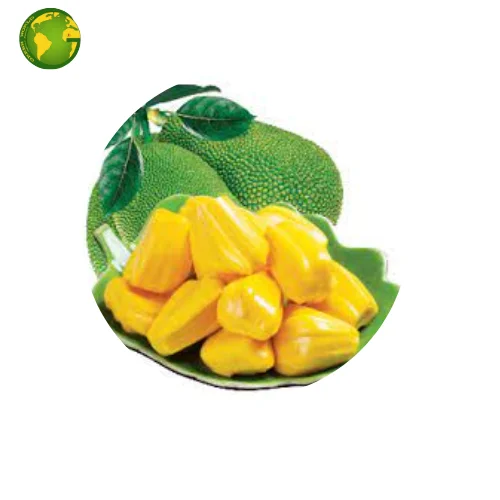 Natural Dried Jackfruit Dried Crispy Jackfruit Vacuum Fried