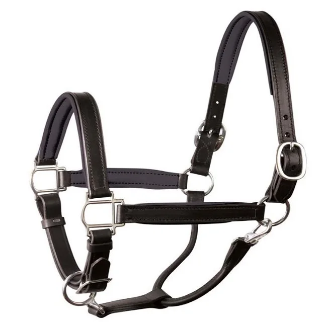 Anatomic Leather Halter With Super Soft Padding And Embroidery Leather