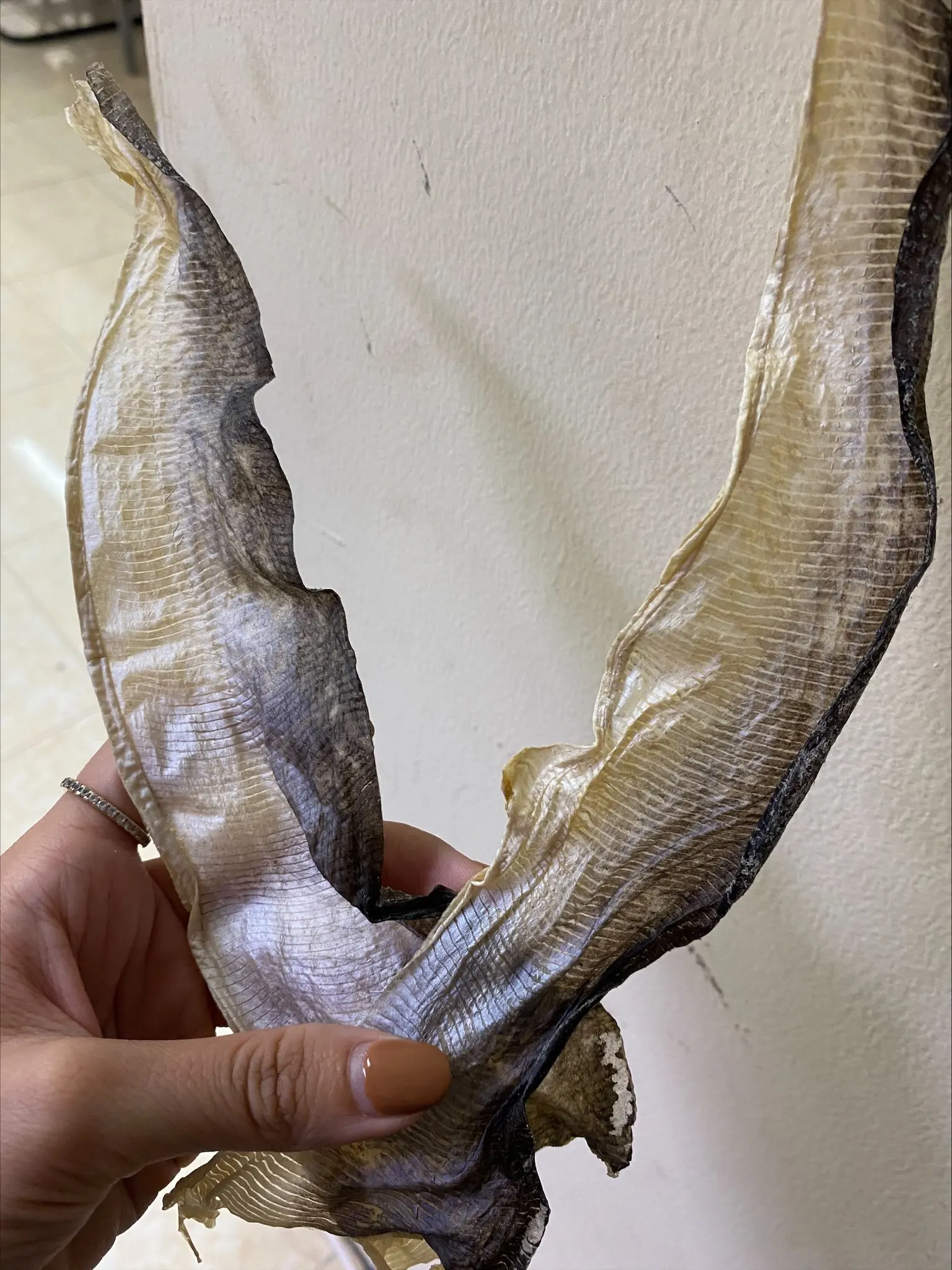 High Quality Natural Dried Basa Fish Skin Oem Dried Basa Pangacius Fish