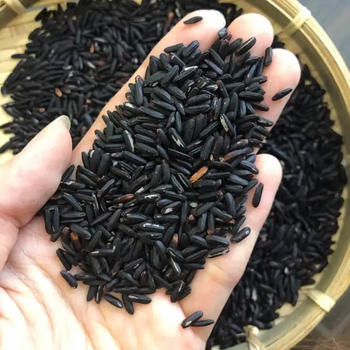 Black Healthy Vietnamese Original Jasmine Rice Mekong Delta Area With