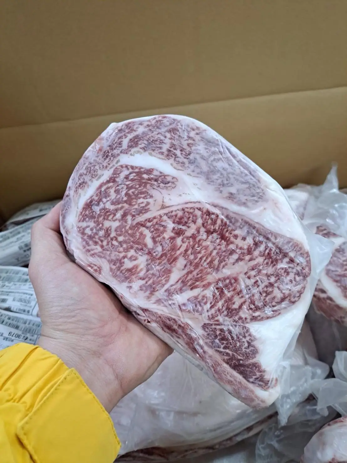 Fresh Japanesea4- A5 Wagyu Private Label - Buy Wagyu Beef Meat Frozen ...