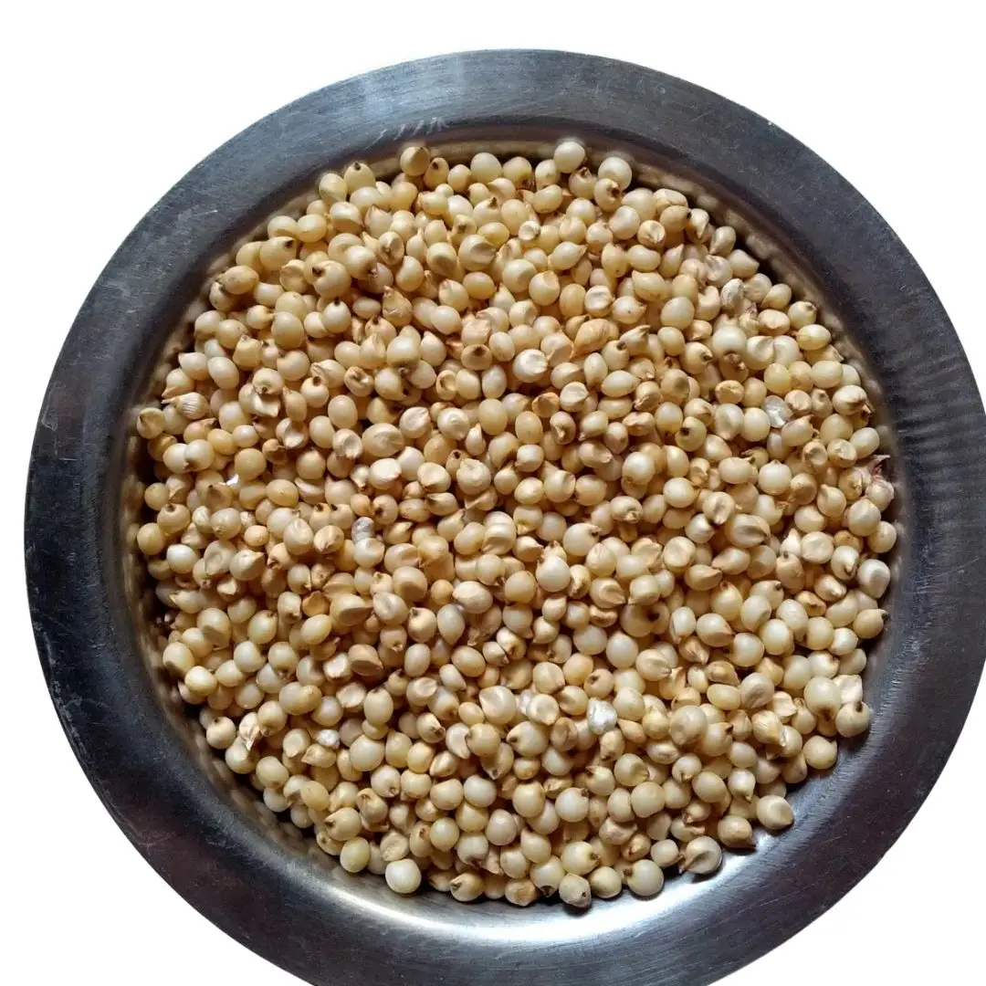 Wholesale Price Superior Quality Jawar Millet Indian Product
