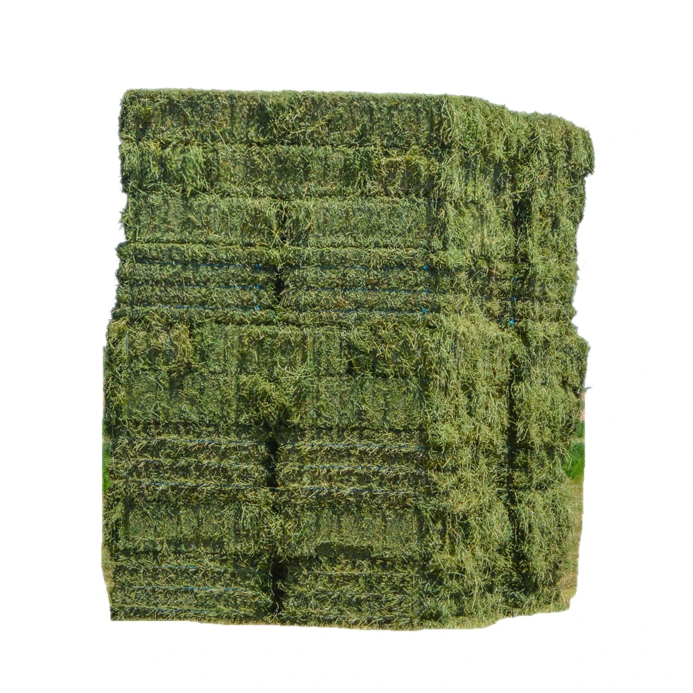 Quality Timothy Hay Quality Alfalfa Hay/ Timothy Hay/ Lucerne Clover In