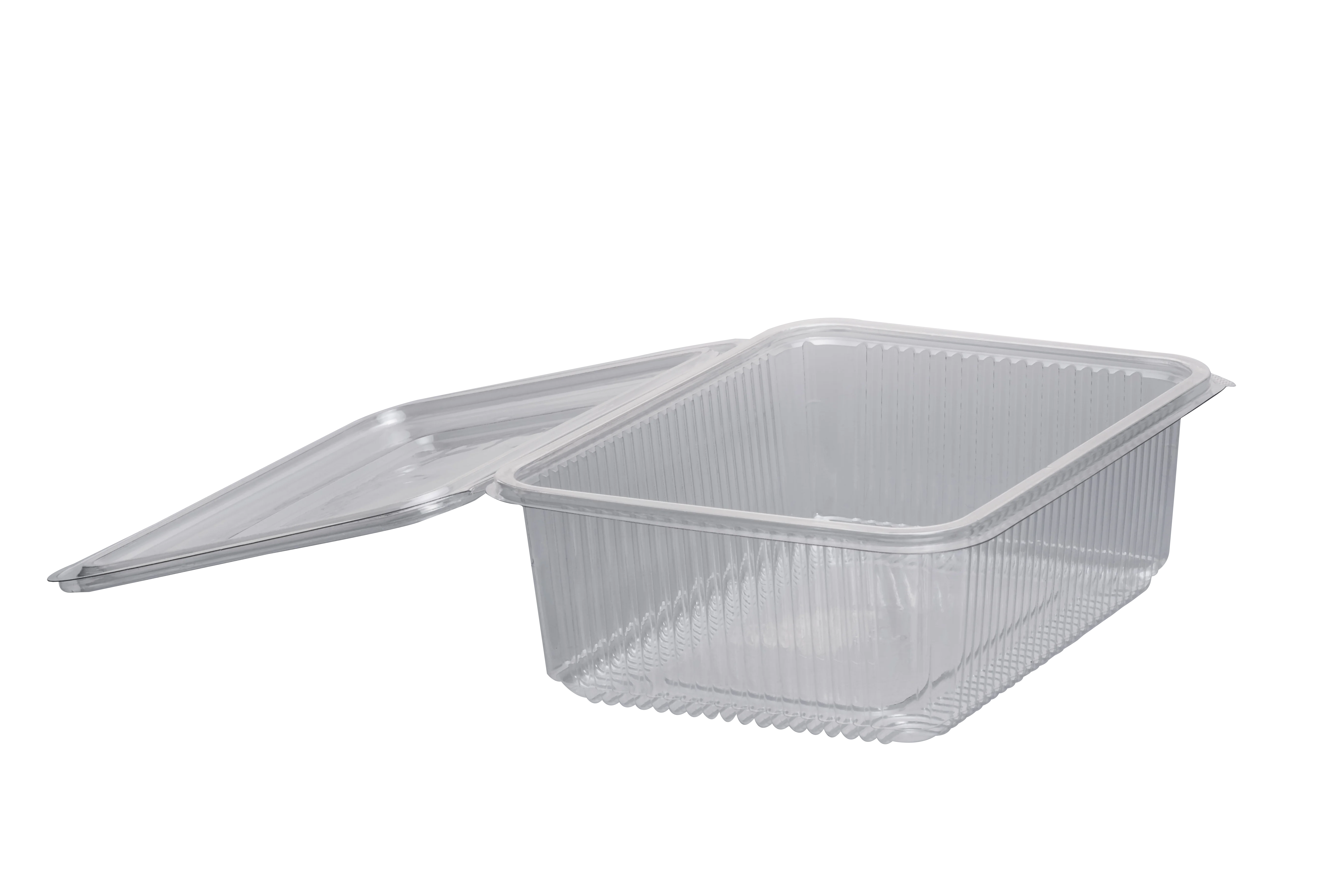 Best Offers Polypropylene Made Hinge Container (case) For Food Packing