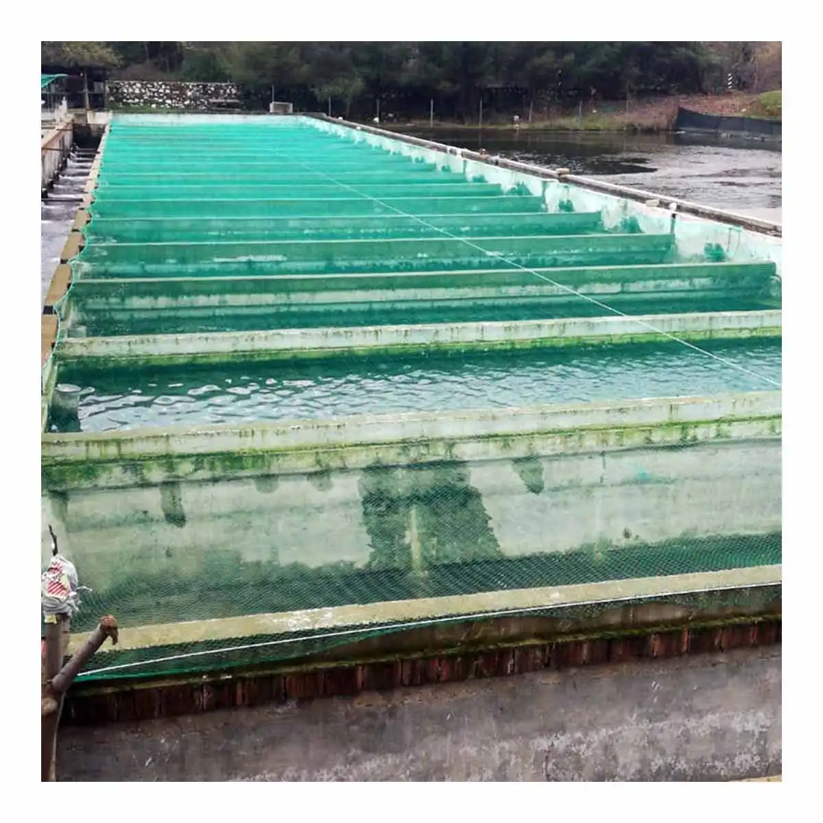 Polyester Mesh Ukuran 2-2,5 Cm Anti Kolam Burung Balkon Akuarium Pohon ...