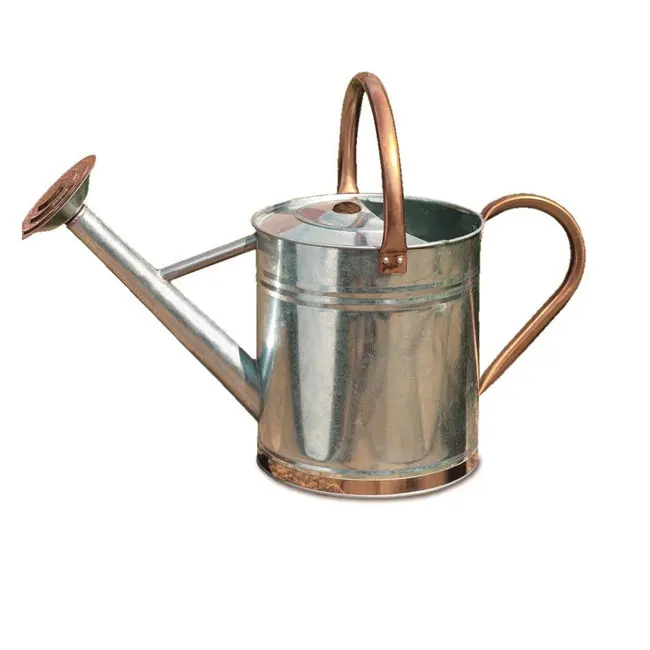 thumbnail image 2 of Stainless Steel Watering Can With Long Spout - 1500ml Capacity For Indoor/Outdoor Potted Plants & Garden Flowers 2 of 12