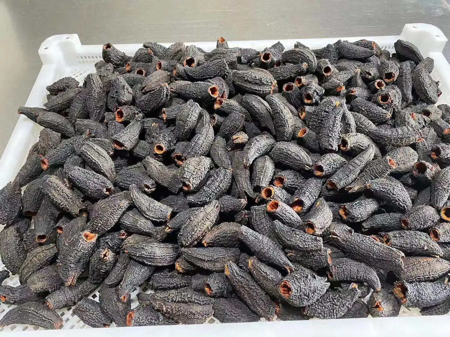 Dried Sea Cucumber Food & Beverage Seafood Cucumber Buy Organic Sun