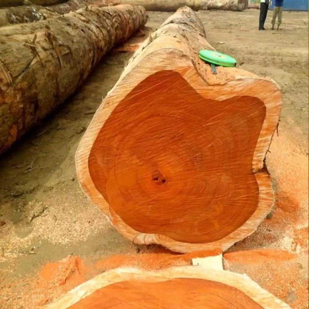 Red Round Oak Wood Logs / Pine Sawn Wood Logs Pine Round Wood For Sale