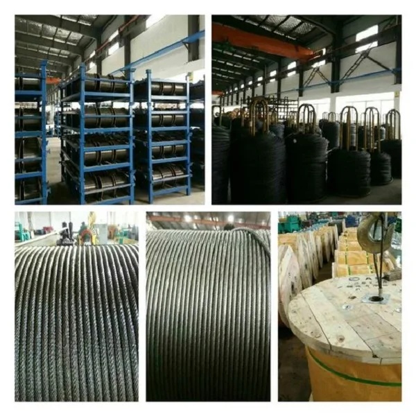 Hot Selling Coated Stainless Steel Wire Rope Pvc/pu/pa Assembly Cable