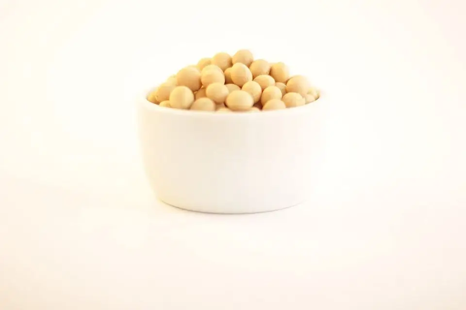 2023 Crop High Protein Yellow Soybean Soya Beans / Soy Bean For Sale