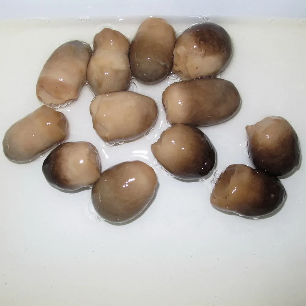 Manufacturer Canned Whole Peeled Straw Mushrooms In Brine With Good