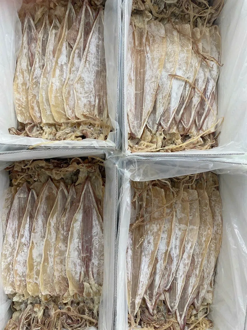 Dried Thin Squids Sotong Kering Nipis With 2 Year Shelf Life Chiller Storage// Many Sizes Dried