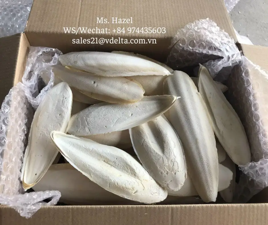 Dried Cube Cuttlefish Bone For Pet/sepia Bone/ms. Hazel (+84) 974435603