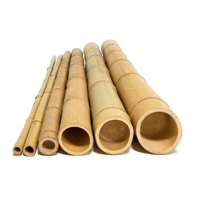 Wholesale Vietnam Bamboo Poles100 Natural Bamboo Pole/cane/stick