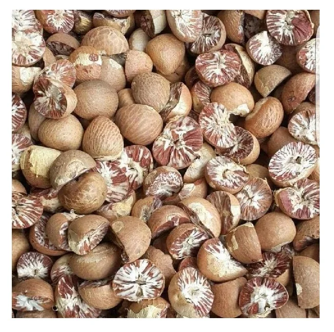 Areca Nut/ Betel Nut Export From Viet Nam Sophie Buy Areca Nut/ Betel Nut Export From Viet Nam