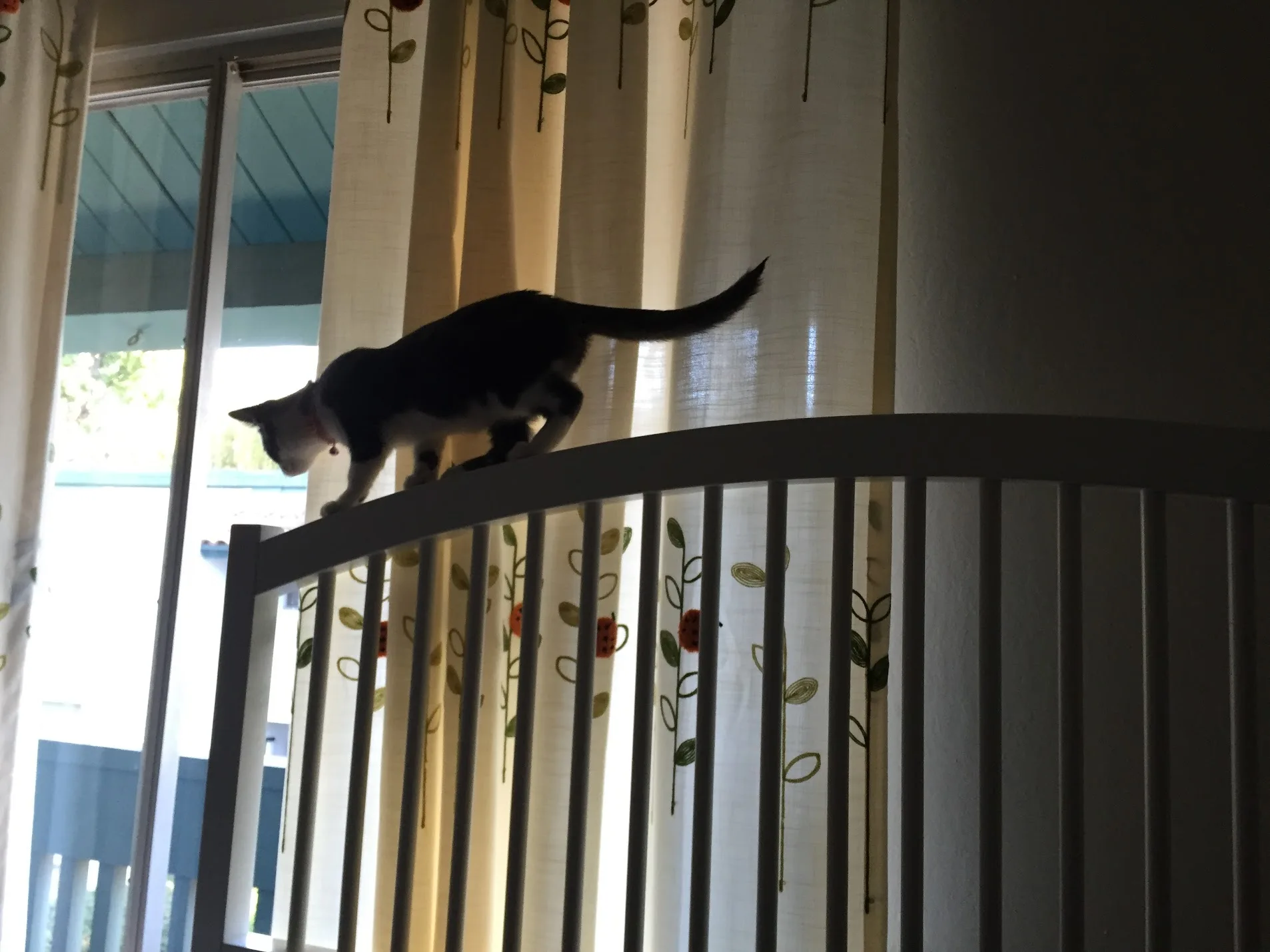 Exploring the headboard