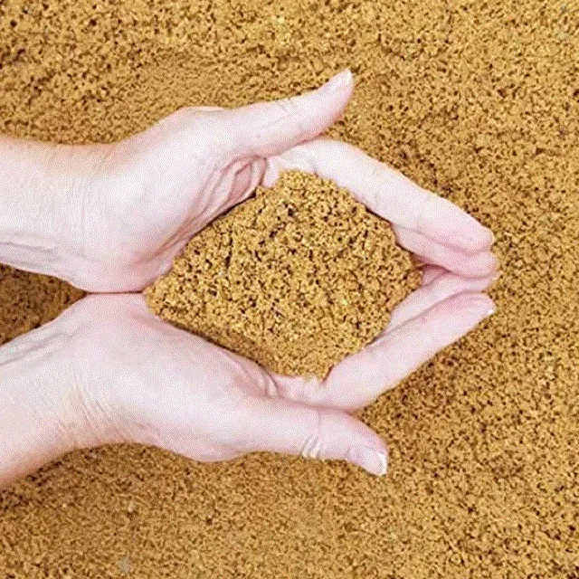 Most Demanded River Sand For Construction Buy From Trusted Exporter