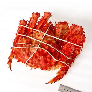 Top Quality Norwegian Frozen King Crab Supplier / Live King Crabs For