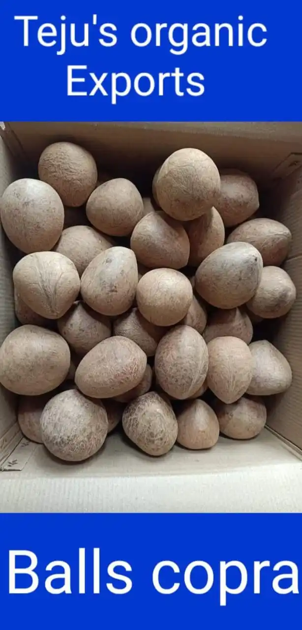 High Quality White Plain Toilet Tissue Paper Roll Indian Manufactures