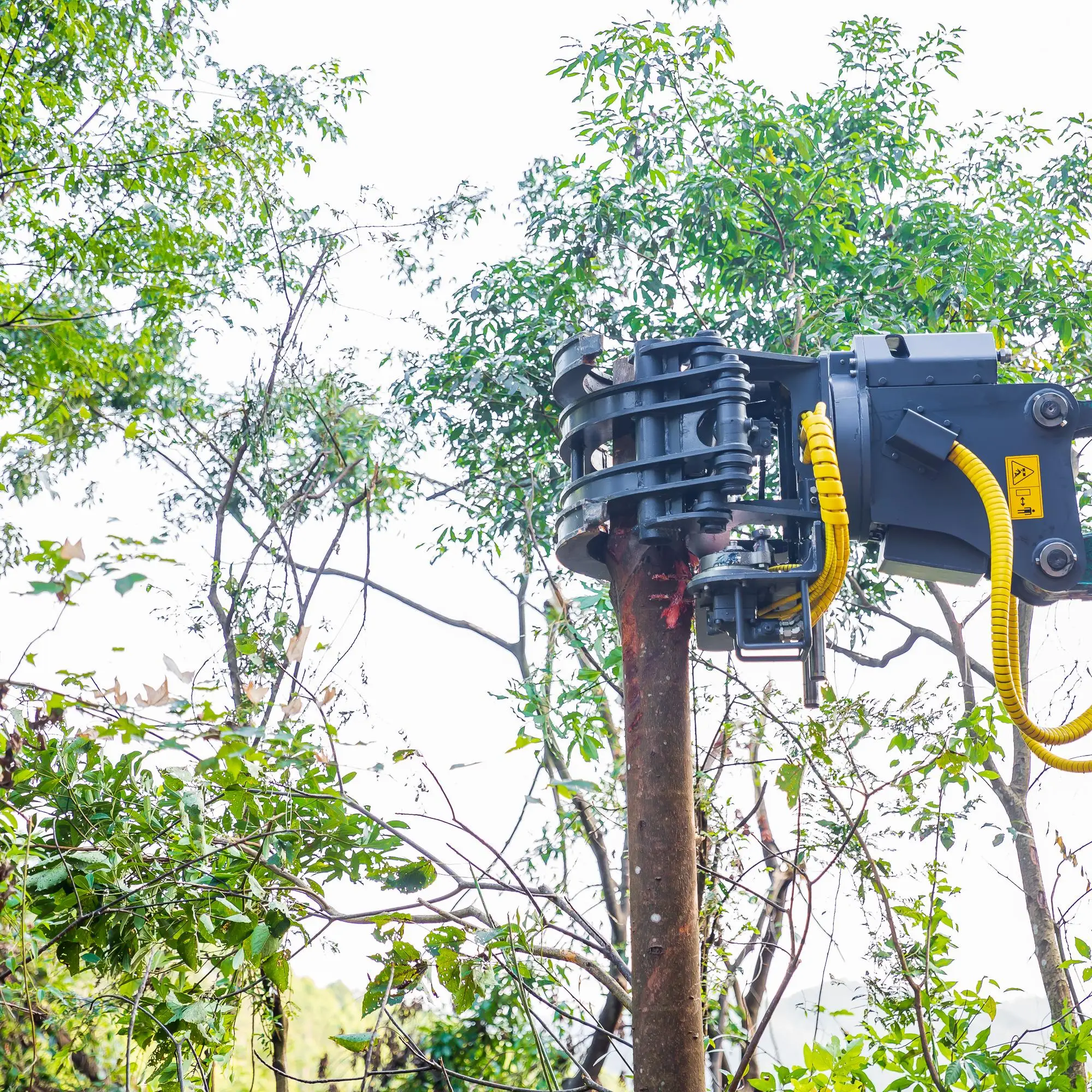 Forestry Machine Grapple Saw Tree Working With It Is A Breeze With Its