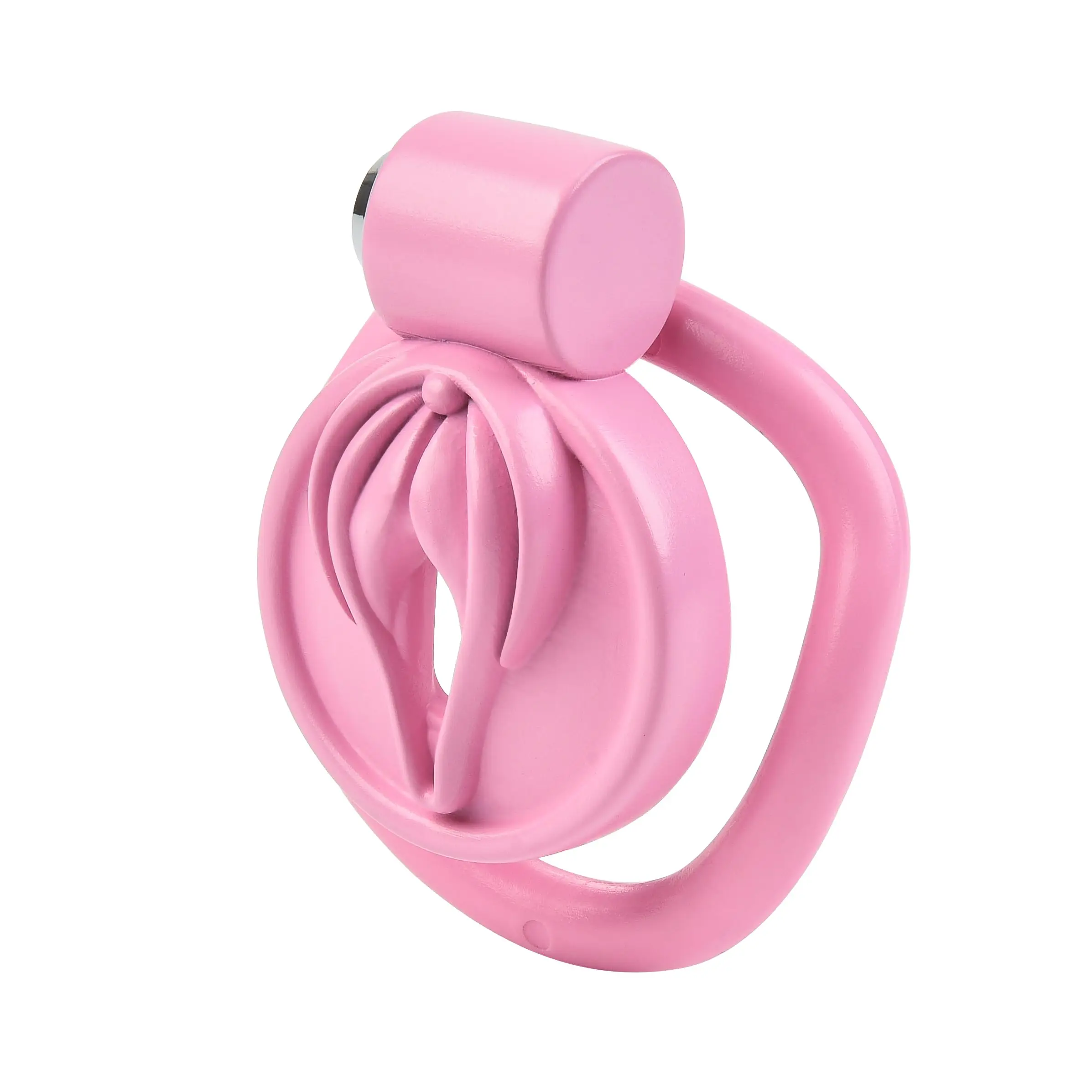 Sissy Chastity Cage Lock