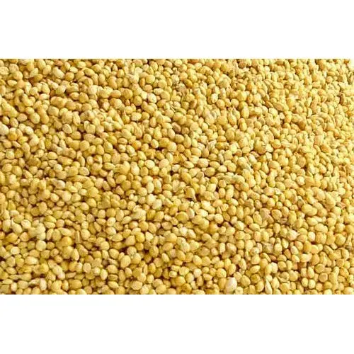 Buy Organic Yellow Millet Animal Feed New Crop Nonglutinous For Food