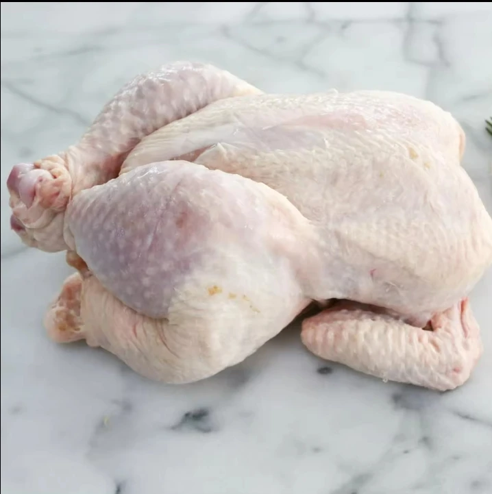 Canada Best Halal Whole Frozen Export / Chicken Breast Legs Chicken