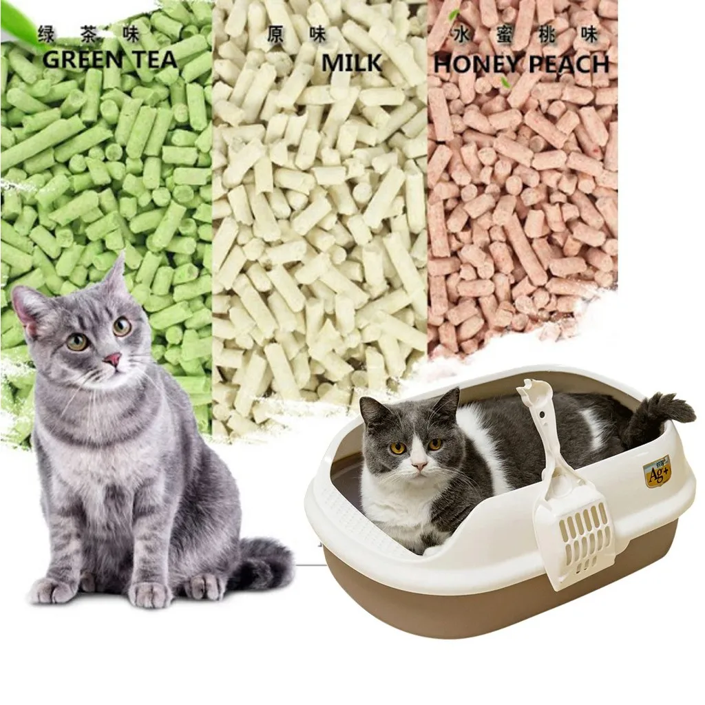 All Natural Ecofriendly Dust Cat Litter Quickly Clumping Odor Control