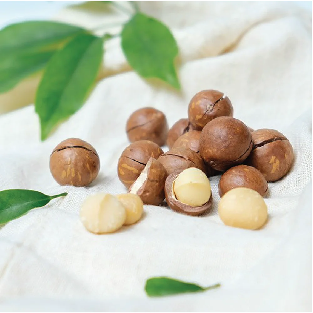 Luxury Cracked Dried Macadamia Nuts Dried Roasted Food Healthy Shell Crushed Macadamia From Viet