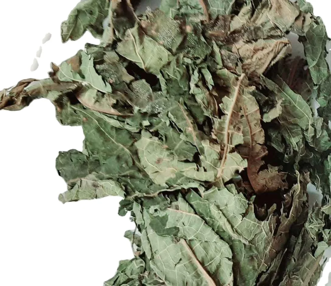 Mass Production Of Dried Papaya Leaves In Vietnam / Holiday Buy Dried Papaya Leaf Tea Made In