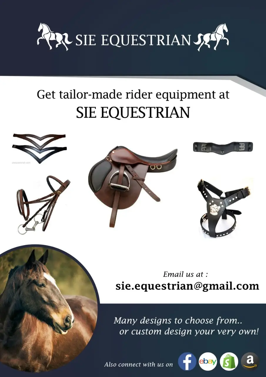 Wholesale Price Leather Dressage Saddles Racing Riding Horse Saddle