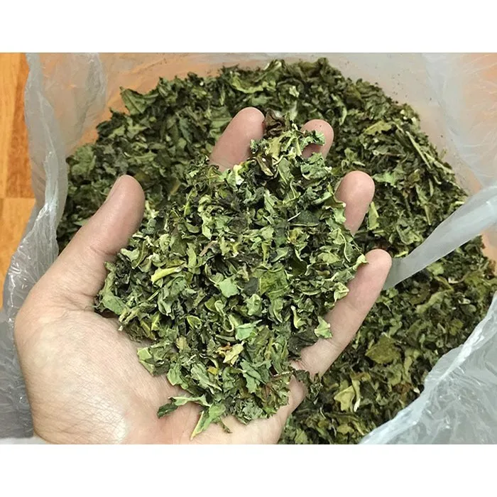 Mass Production Of Dried Papaya Leaves In Vietnam / Holiday Buy Dried