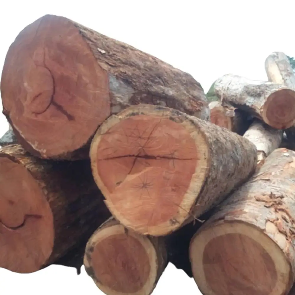 Red Round Oak Wood Logs / Pine Sawn Wood Logs Pine Round Wood For Sale ...