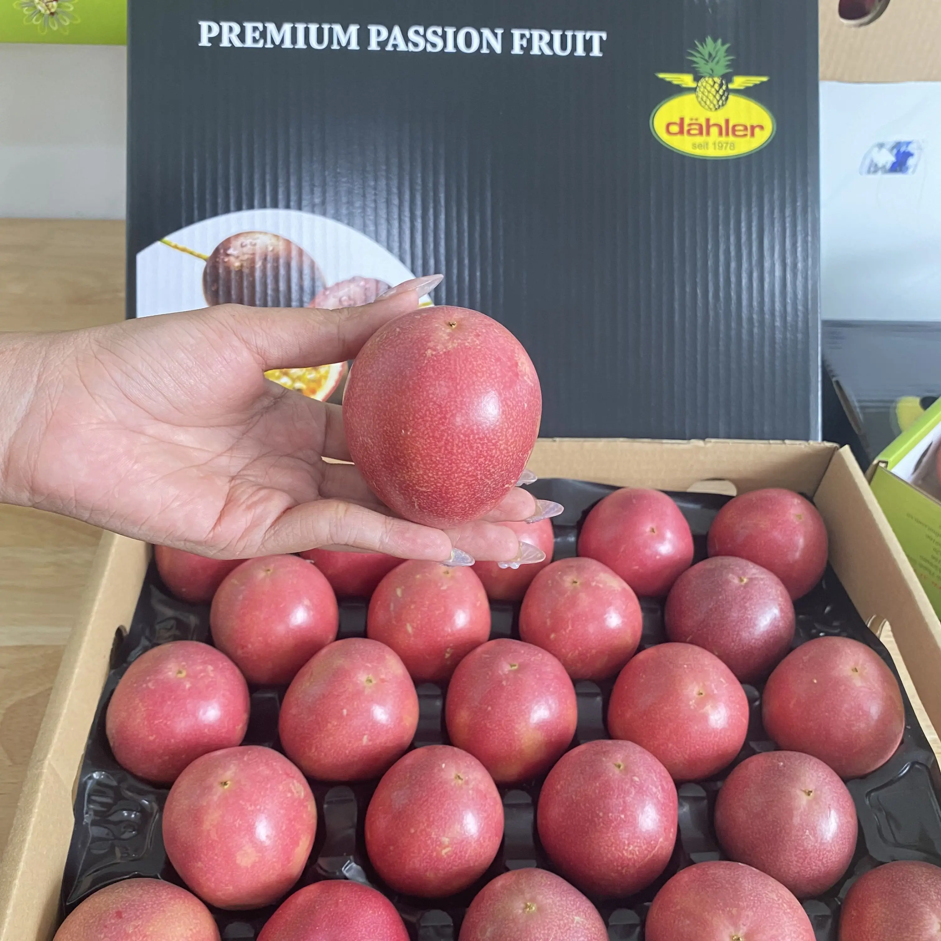 Passion Fruit For Export Passion Fruit For Fresh Carton Box Passion ...