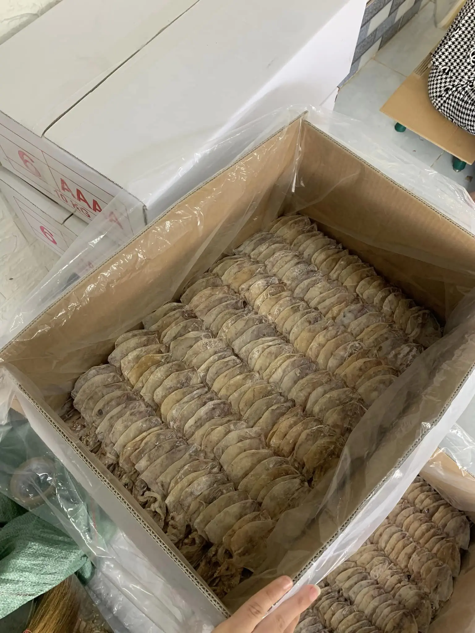 Best Seller Food Safe Dried Squid 100 Natural Best Seller Dried Squid Buy Dried Squid Seafood