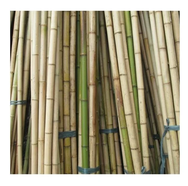 Bamboo In Vietnam Eco Friendly Sustainable Bamboo Poles/ Bamboo Pole ...