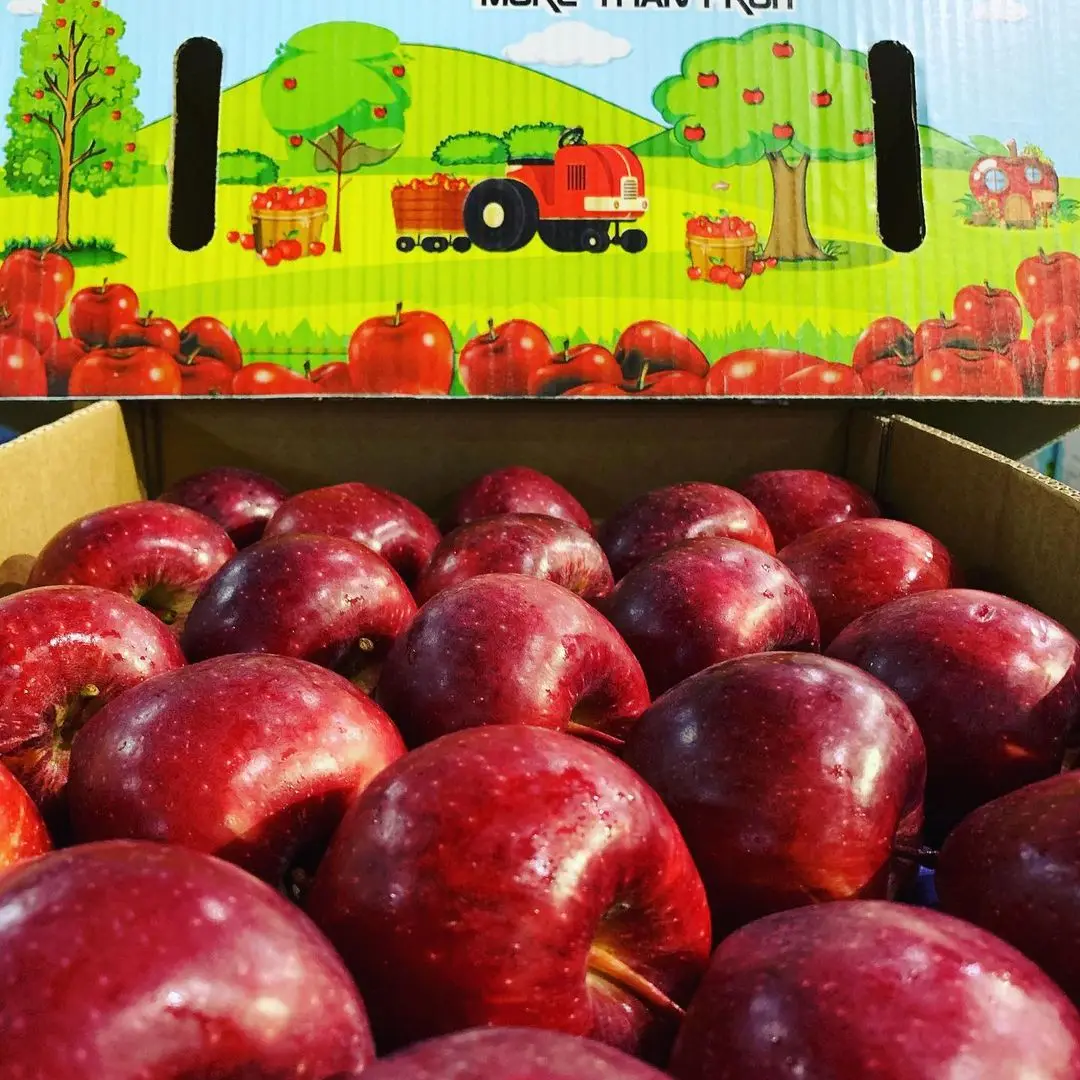 Fresh And Delicious Natural Highquality Sweet Fuji Apple Buy Premium