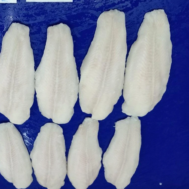 Top Quality Frozen Pangasius Fillet Or Basa Fish Fillets Well Trimmed 10 Kg Carton Packing