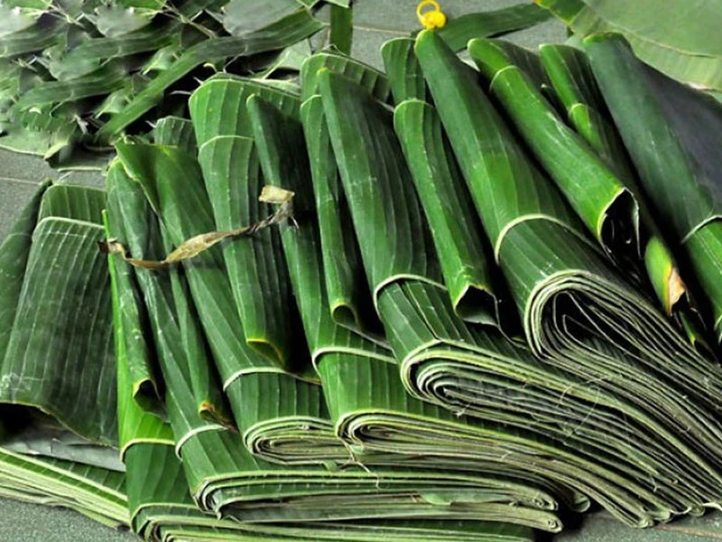 Fresh Frozen Banana Leaves Best Quality Wholesales Price From Vietnam Buy Cheap Price