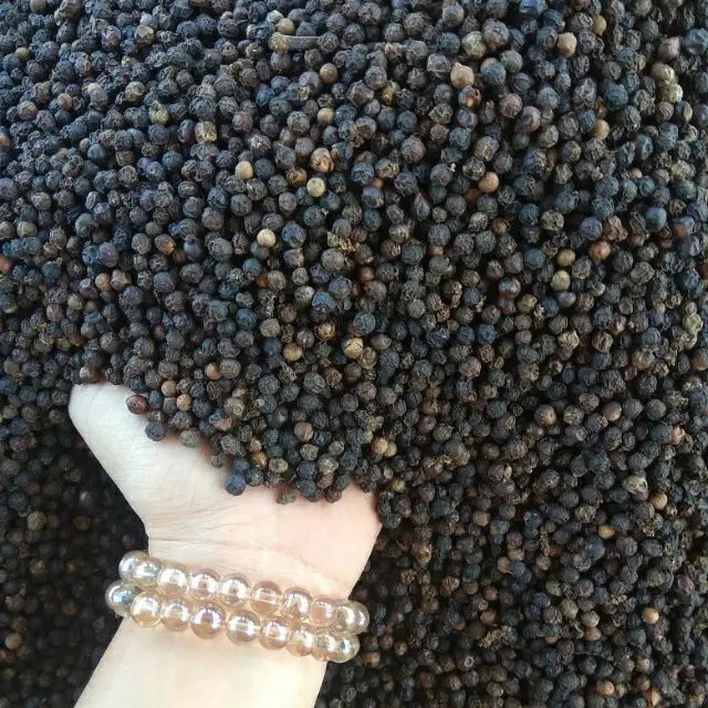 Hot Selling High Quality Bulk Black Pepper For Wholesale From Vietnam