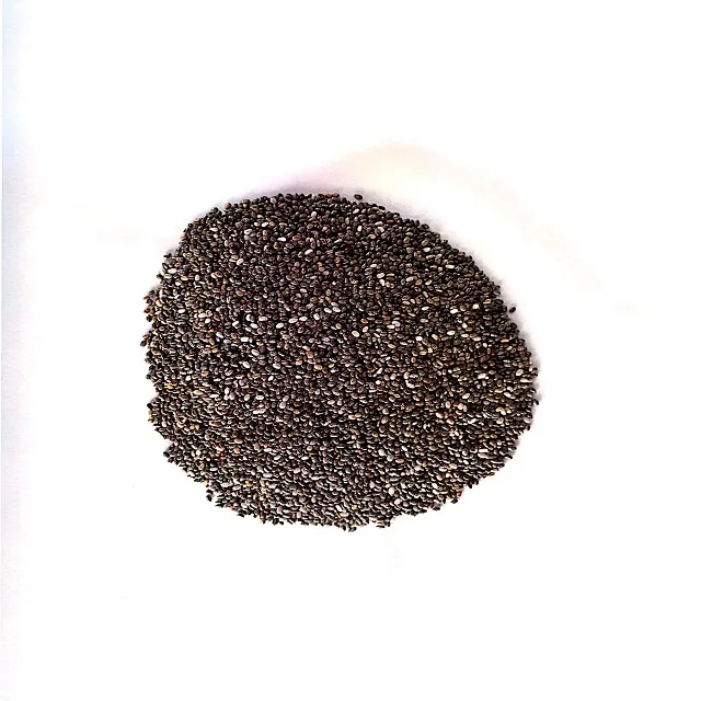 Chia Seeds Conventional Salvia Hispanica Packaging 25 Kg Bags From