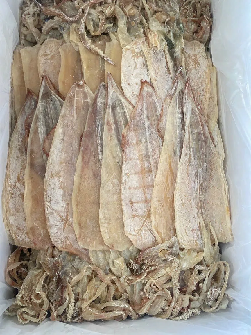 Dried Thin Squids Sotong Kering Nipis With 2 Year Shelf Life Chiller Storage// Many Sizes Dried
